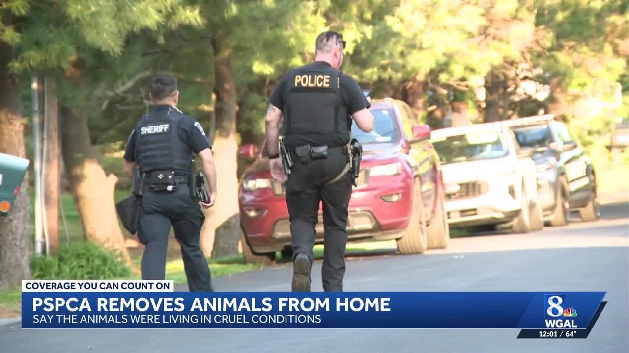 93 animals rescued from Lancaster County home in cruelty investigation