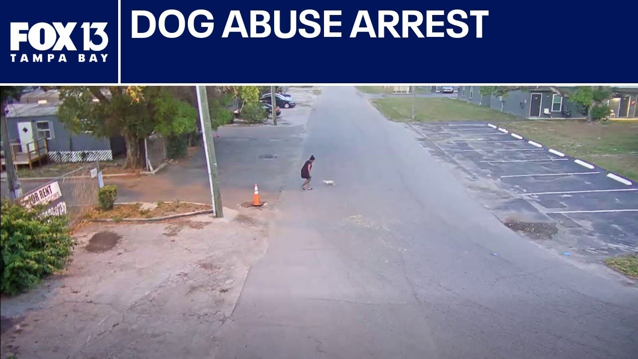Dog abuse caught on camera leads to arrest