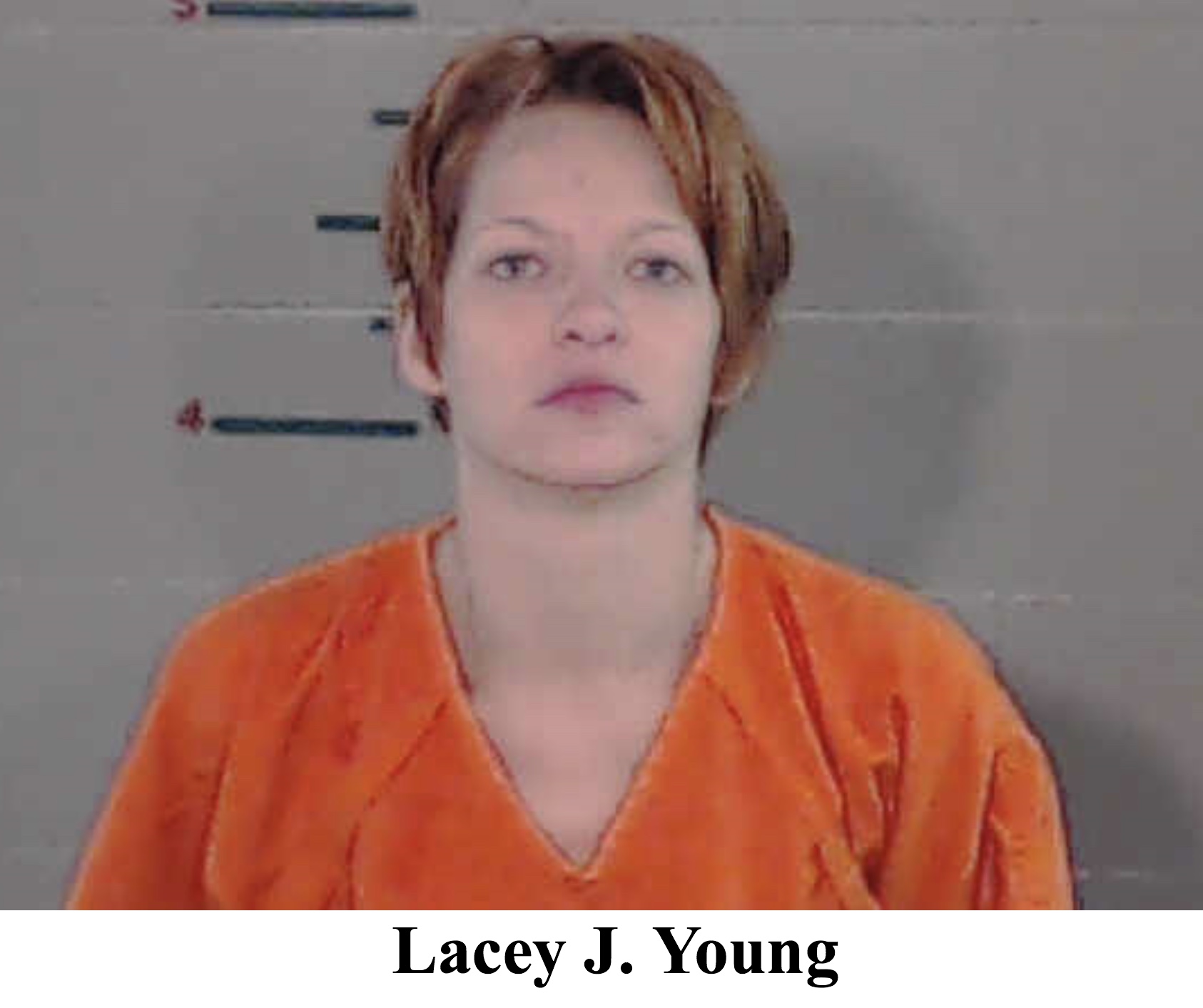 Meigs Woman Sentenced in Connection with Gallia Man s Death Meigs