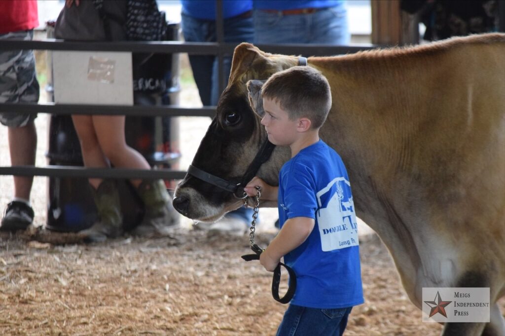 2020 Meigs County Fair Dairy