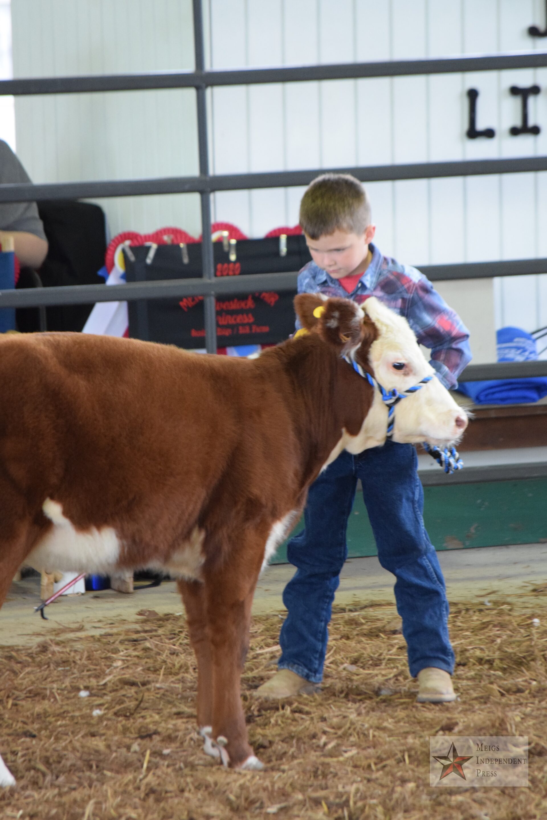 Meigs County Fair Beef Show Results Meigs Independent Press