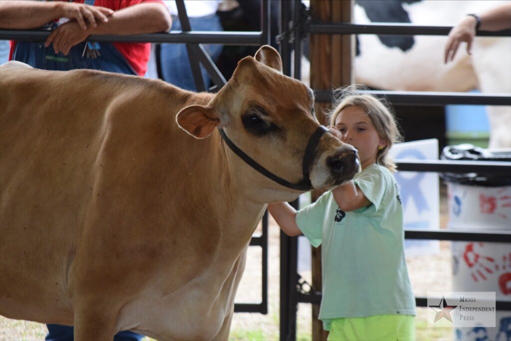 2020 Meigs County Fair Dairy