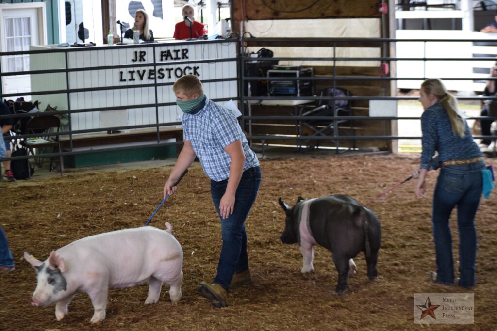 Swine show meigs county fair 2020