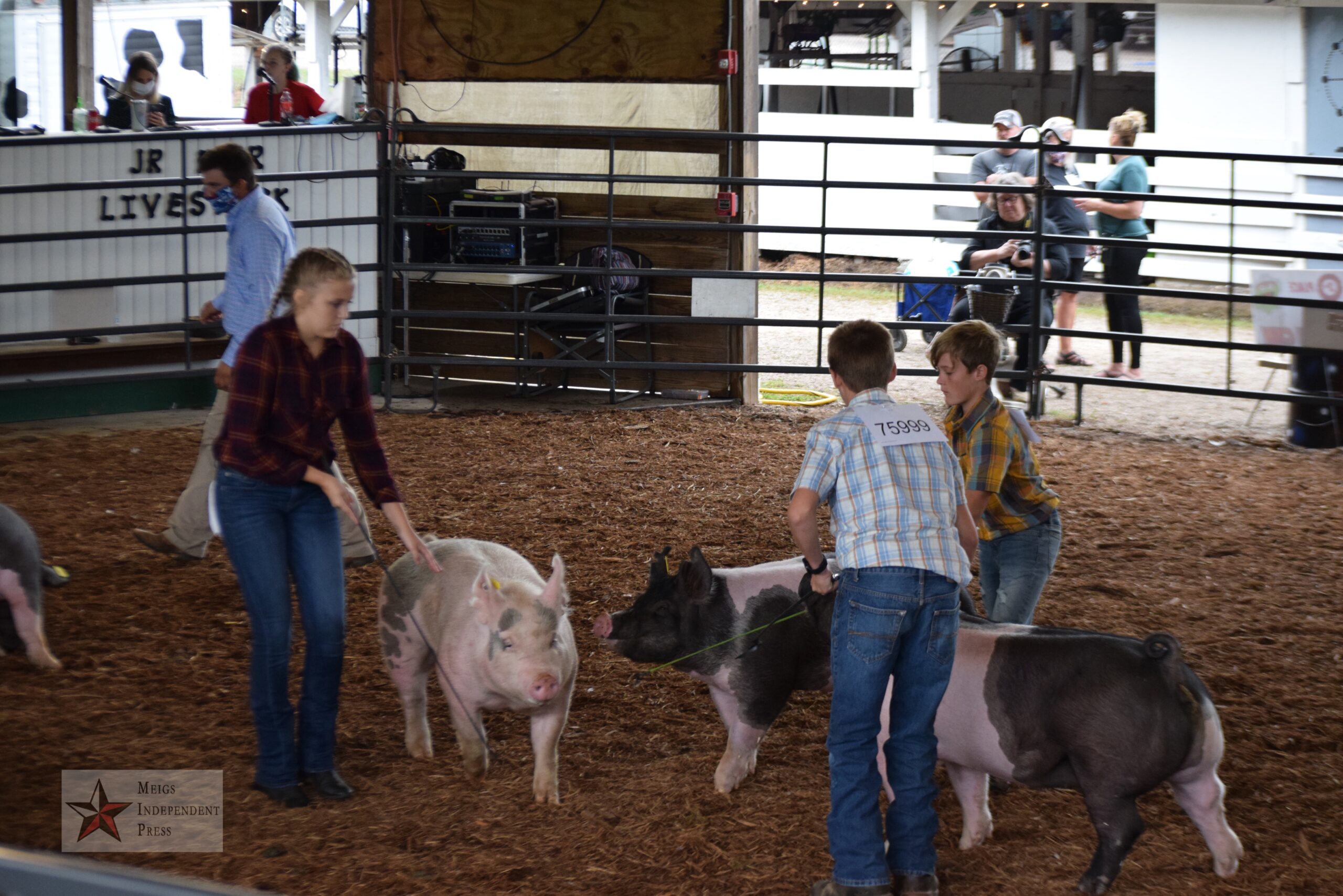 Swine show meigs county fair 2020