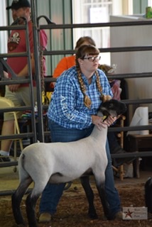 2020 Meigs County Fair Sheep Show