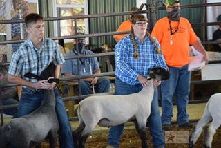 2020 Meigs County Fair Sheep Show