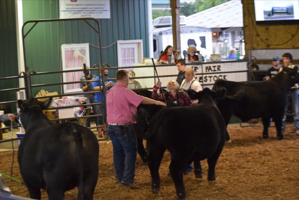 2020 Meigs County Fair Beef Show