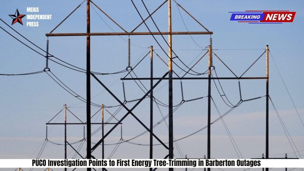 PUCO Investigation Points to First Energy Tree-Trimming in Barberton Outages