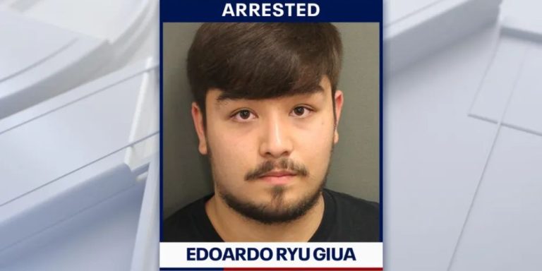 New York teenager arrested for driving over 100 mph on Beachline ...