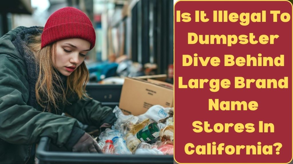 Is It Illegal To Dumpster Dive Behind Large Brand Name Stores In California