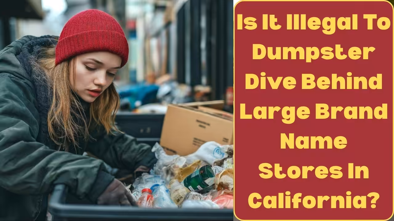 Is It Illegal To Dumpster Dive Behind Large Brand Name Stores In California