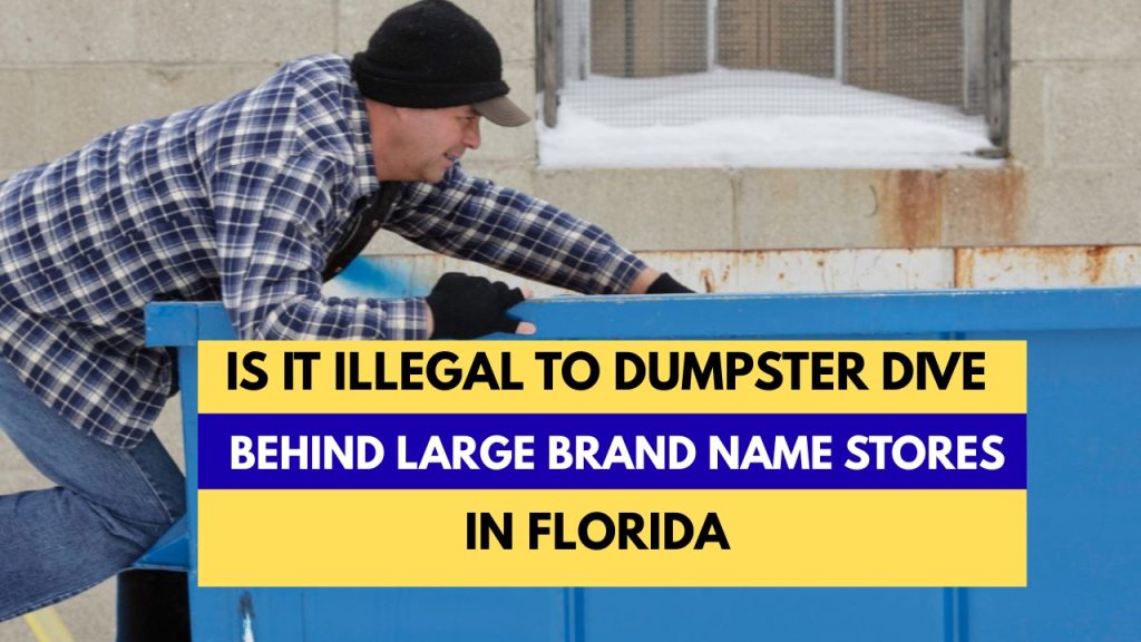 Is It Illegal To Dumpster Dive Behind Large Brand Name Stores In Florida