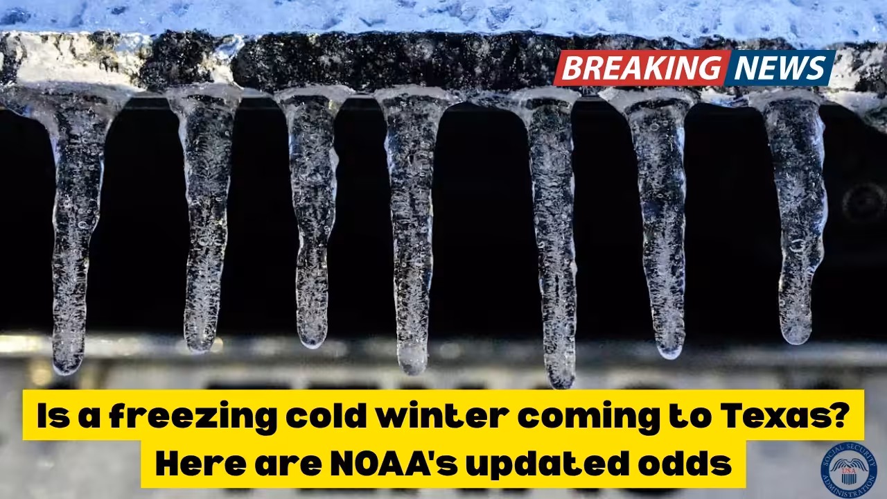 Is a freezing cold winter coming to Texas? Here are NOAA's updated odds