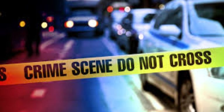 Police: 2 People Found Dead In Car With Gunshot Wounds To The Head In ...