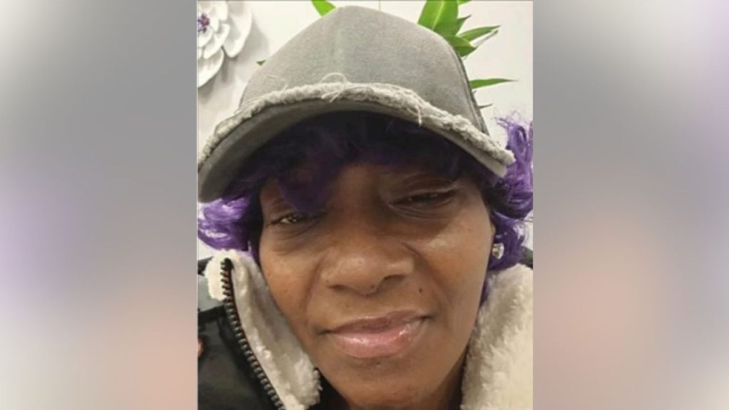Chicago Police Looking for Missing 51-Year-Old Woman From Bronzeville