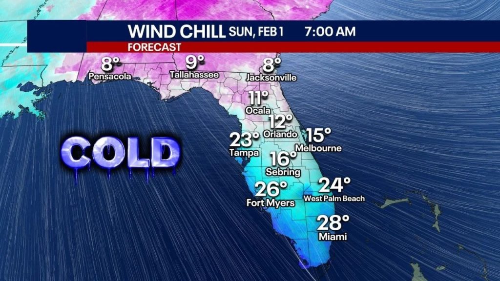 Florida Prepares for Record-Breaking Cold as Historic Hard Freeze ...