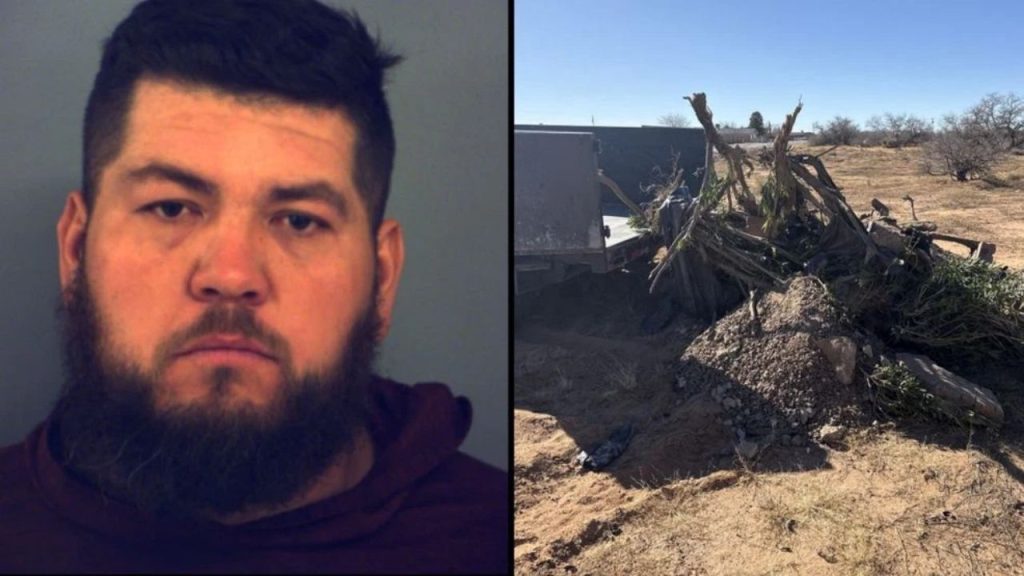 Man detained for illegal dumping after truck gets stuck in Far East El ...