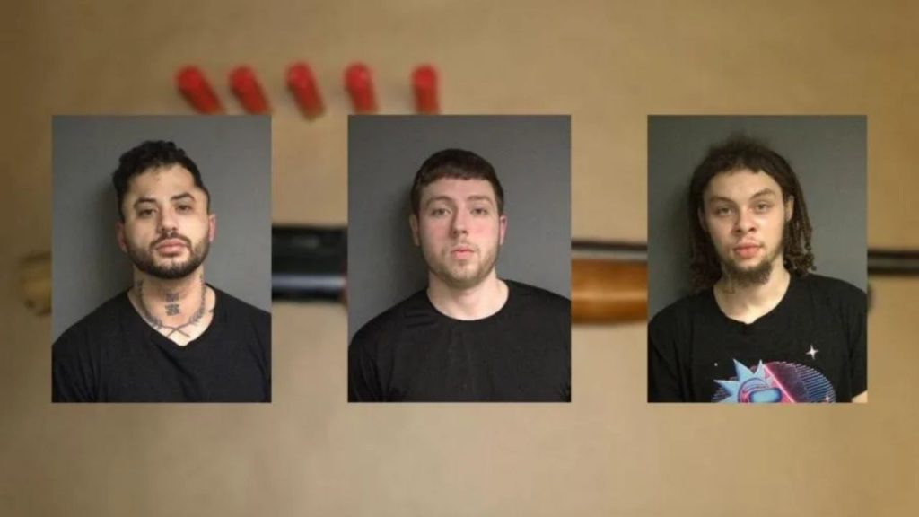 3 People Taken Into Custody On Weapons-related Charges After Traffic ...
