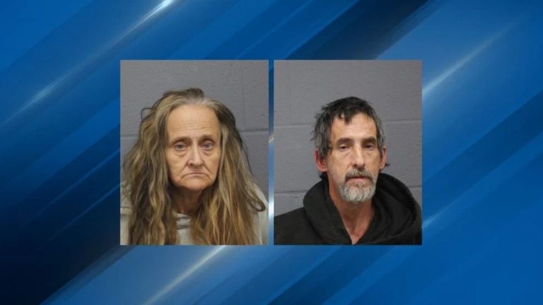 2 people arrested on drug trafficking charges after vehicle stop in Webster