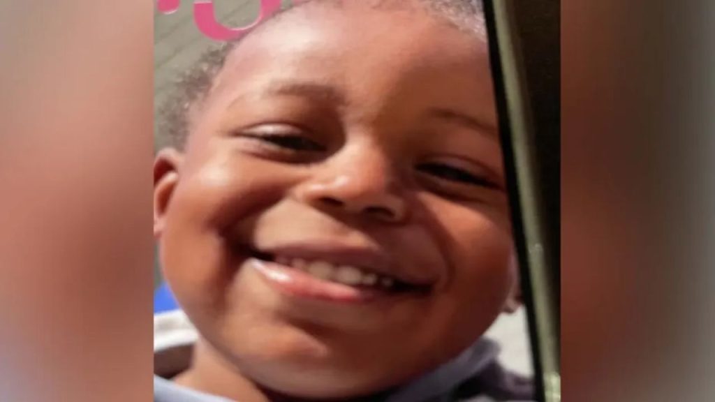 2 year old found unharmed after mother discovered shot dead in alley ...