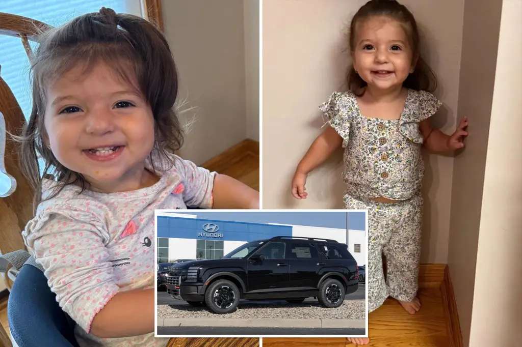2-year-old Ohio girl dies in ‘freak accident’ after Hyundai SUV seat folds down and crushes her