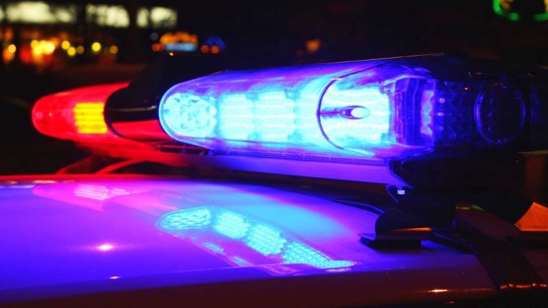 2 men face felony charges after separate incidents at Penguin Park