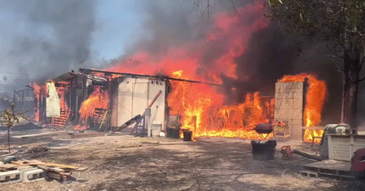 Millions of Bees Gone: Riverside County Beekeeper Loses 80 Hives, Millions of Bees in Verona Fire