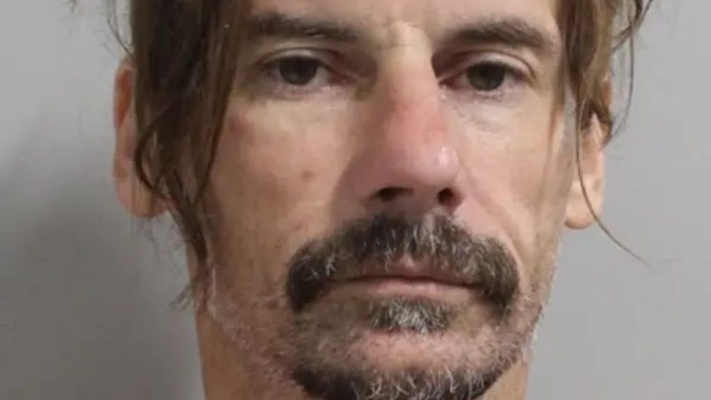 Central Florida Man Taken Into Custody after Screams Heard from Back of Van