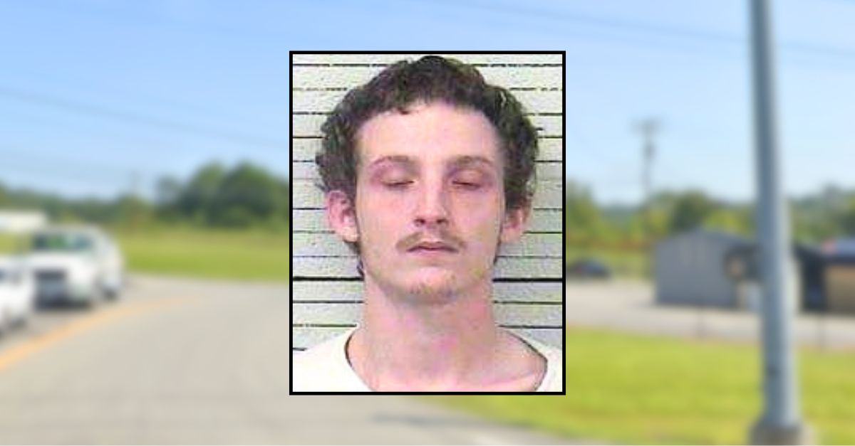 Father slept while his 2 toddlers slipped out broken door and wandered onto busy road: Police