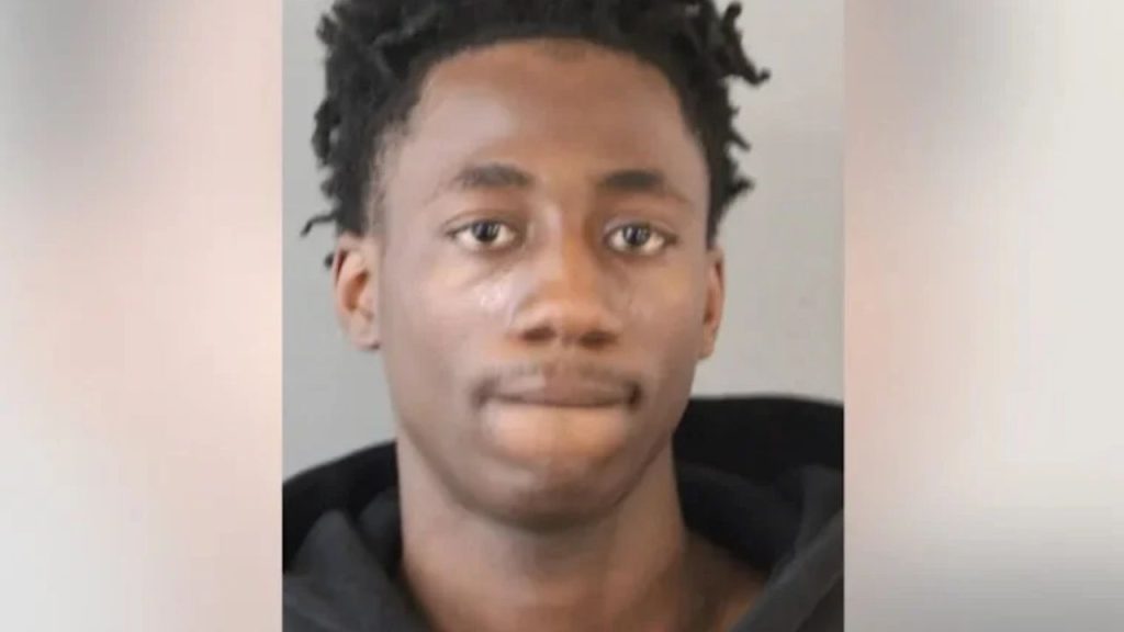 South Shore Teen Duo Arrested After Gunpoint Carjacking Of 63-Year-Old ...