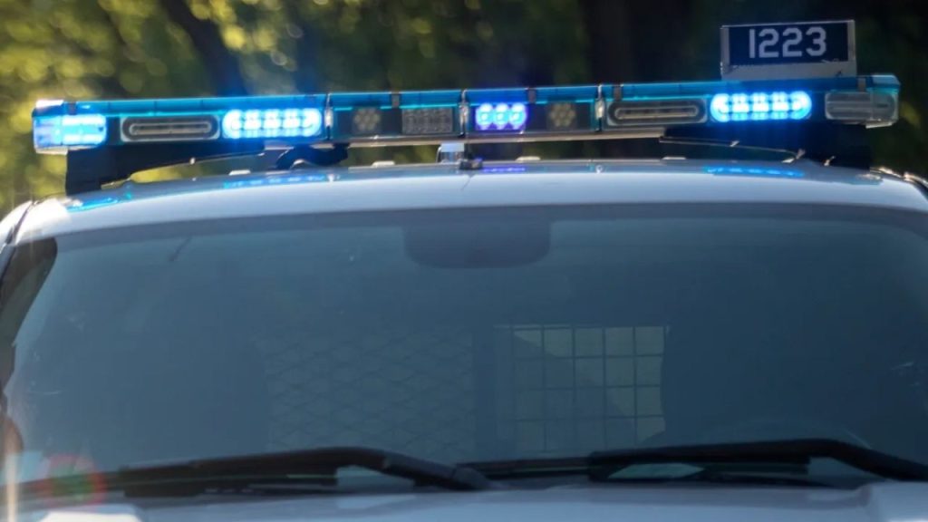 Police: 13-year-old Girl Escapes Attempted Kidnapping In Chicago's ...