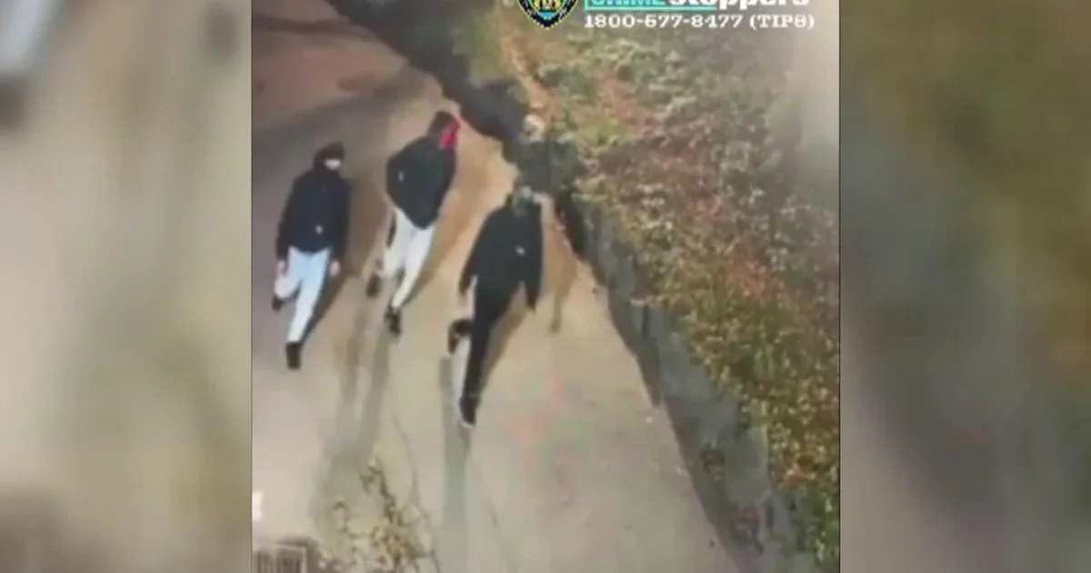 Woman Fights Back When Three Men Attack Her in Central Park: “I Grabbed the Cup and Hit the First Guy”